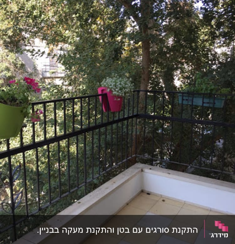 עציצים תלויים על מעקה מרפסת עם עצים ברקע